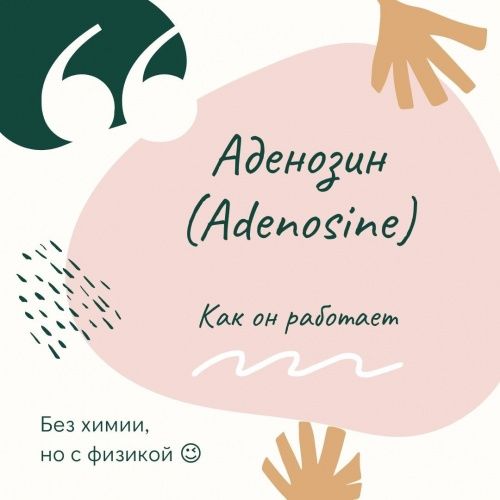 Аденозин в косметике. Принцип его работы